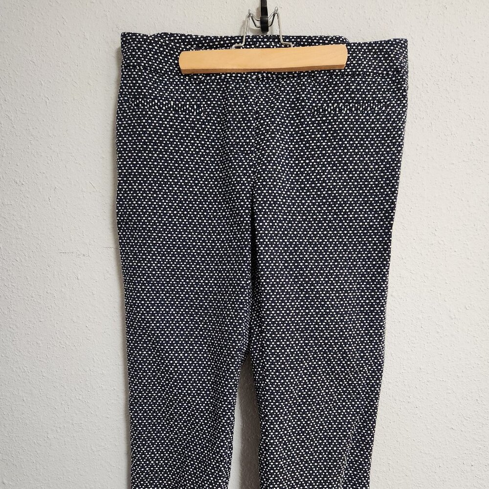 Ann Taylor LOFT | Blue Pattern Textured Crop Size 6
